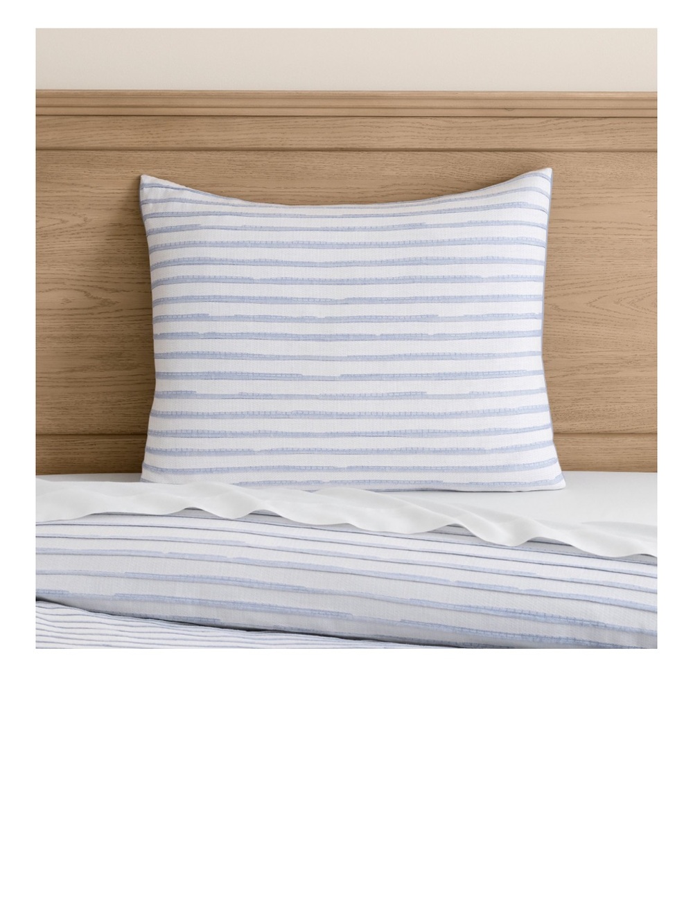 Pottery Barn Teen Huntington Strip (Blue and White) Shams Set of 2